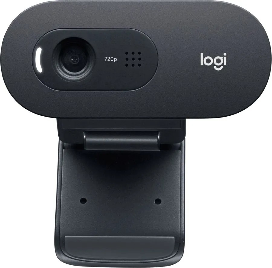Камера Web Logitech C505, черный Камера Web Logitech C505, черный